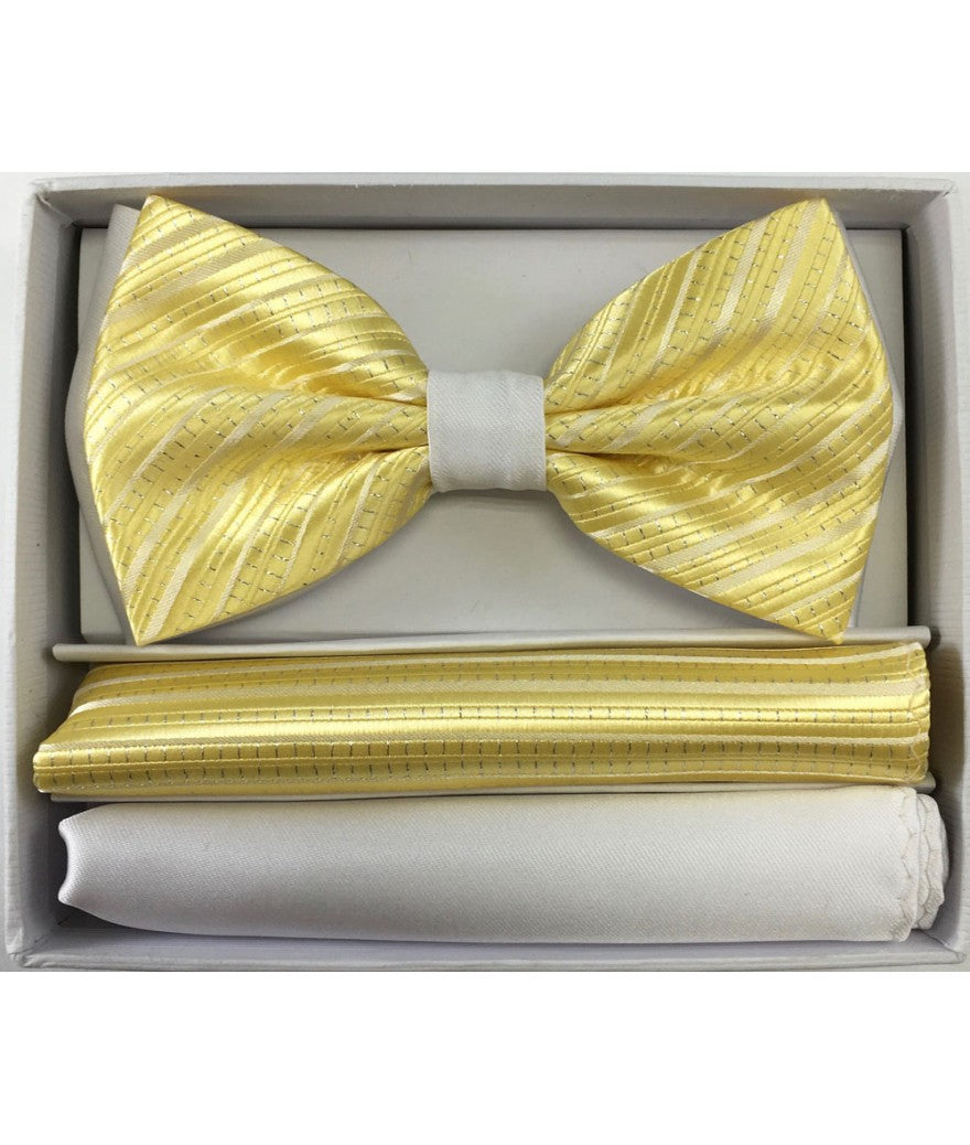 Brand Q | BT2T108 | Pre-Tied Two-Tone Satin Bow Tie & 2 Pocket Squares